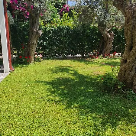 Appartement Vila Deluxe *